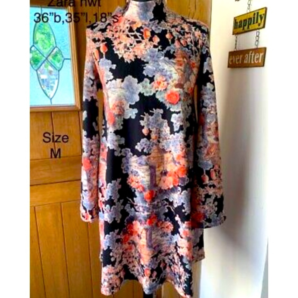 Zara Oriental Print Dress